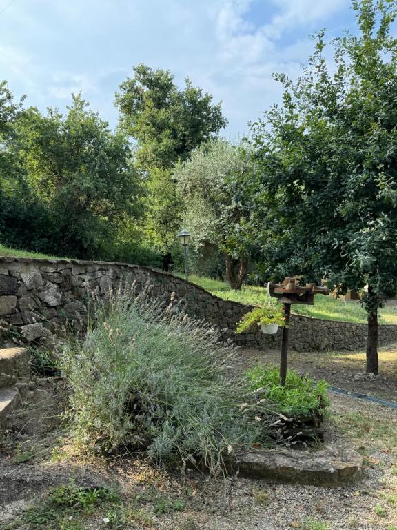B&B Podere Cottimellino - Montalcino - Val d'Orcia - 13