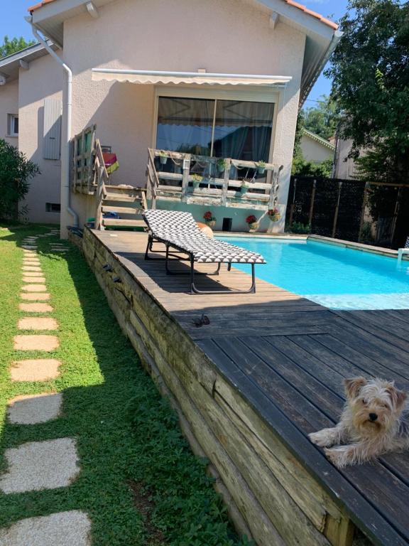 un chien dormant sur une terrasse à côté d'une piscine dans l'établissement Le nid kalain, à Bourg-lès-Valence