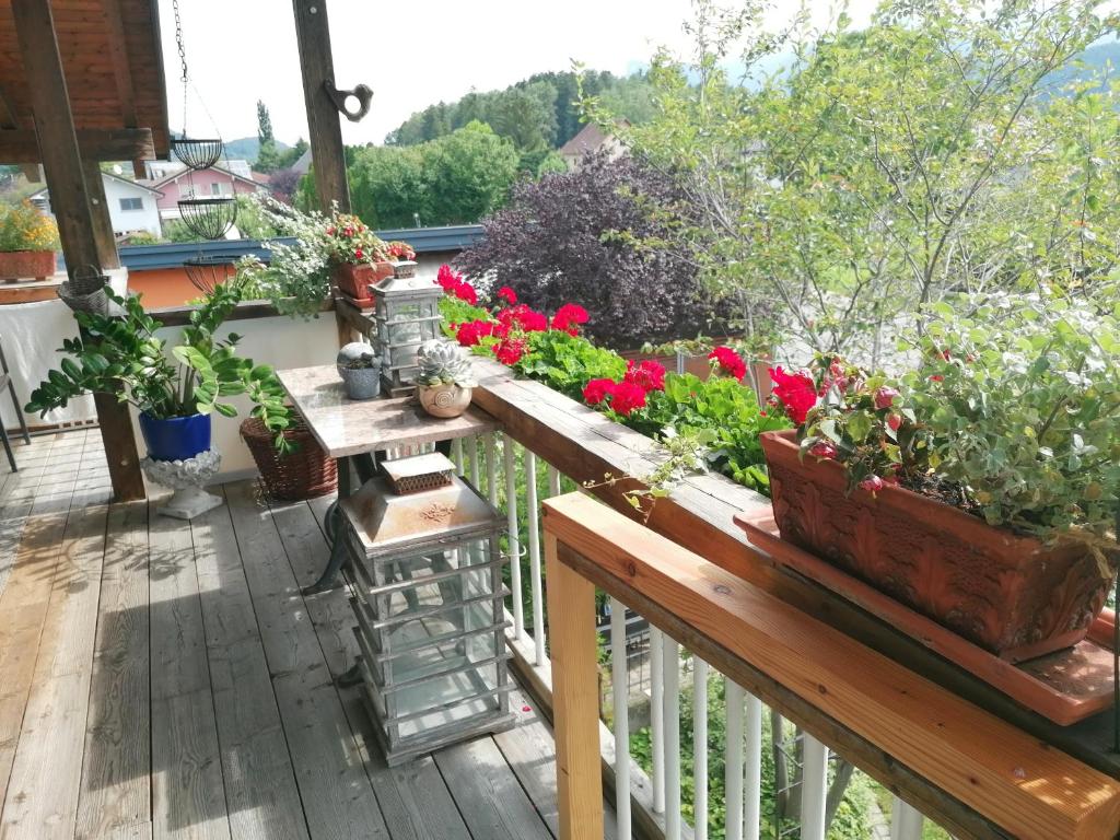 un balcón con macetas y flores. en Ferienwohnung am Rhein, en Koblach