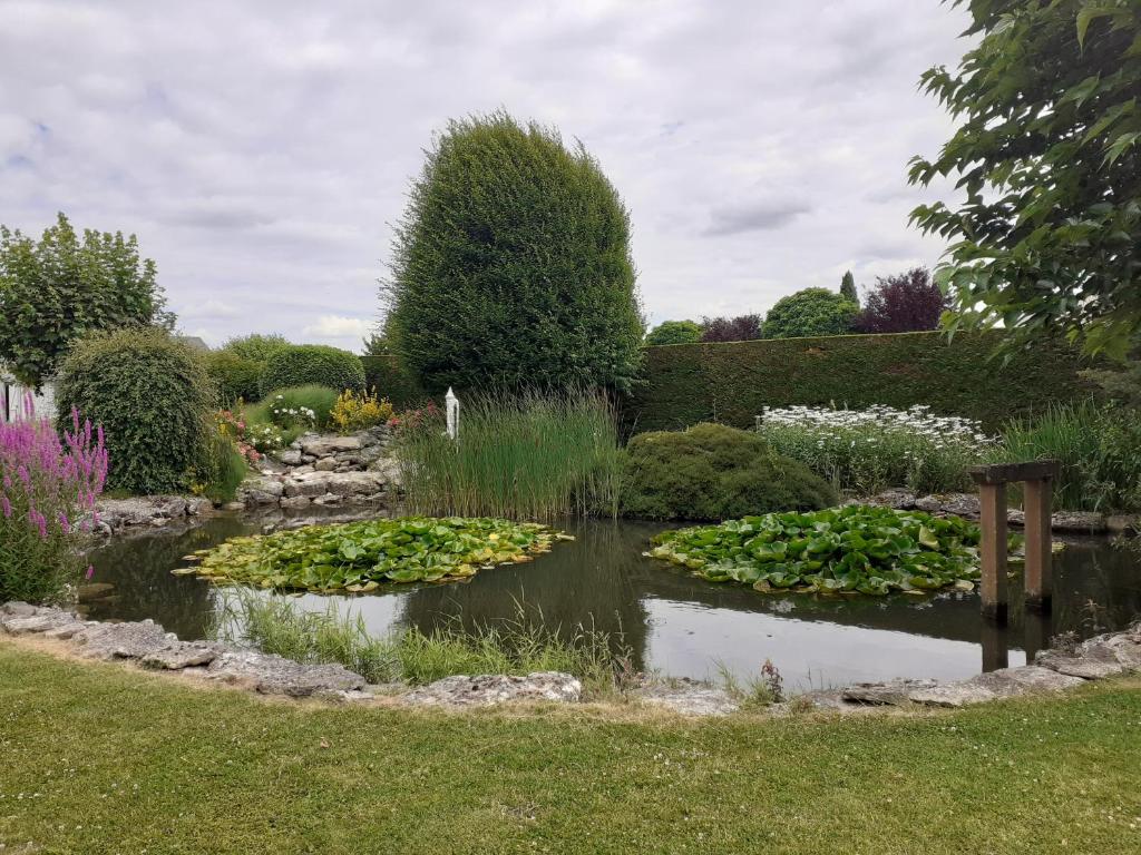 un étang dans un jardin avec des fleurs et des plantes dans l'établissement Le plan d'eau, à Civray-de-Touraine