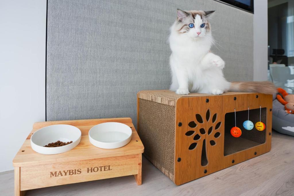 Domácí mazlíčci ubytovaní s hosty v ubytování Maybis Hotel