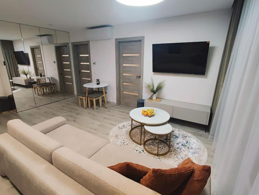 een woonkamer met een bank en een tv bij Kaunas Castle Apartment in Kaunas