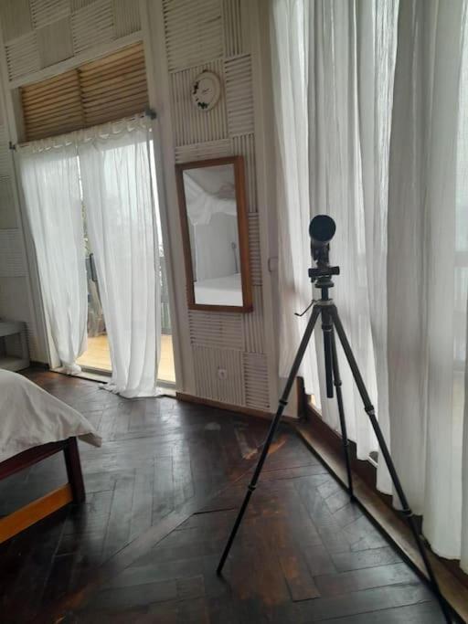 Postel nebo postele na pokoji v ubytování endless horizon