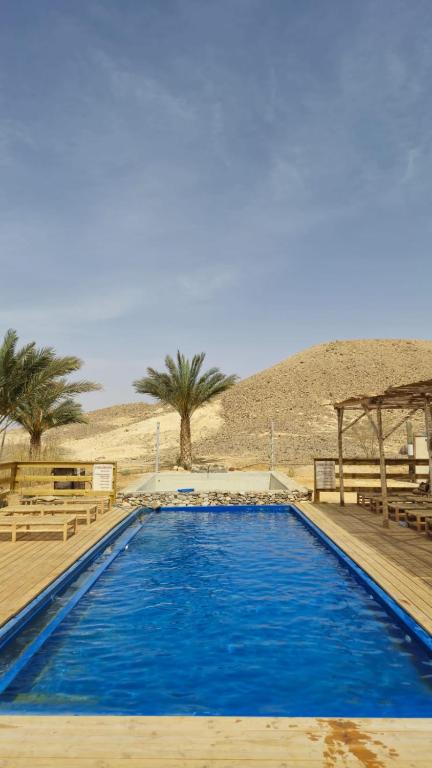 a swimming pool in the middle of the desert at Amara Travel in Zuqim