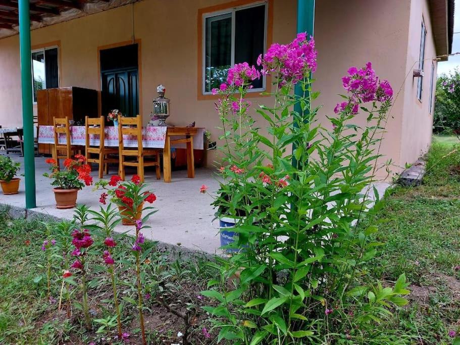 a patio with a table and flowers in front of a house at Mammadaghali rental house in Mǝmmǝdağalı