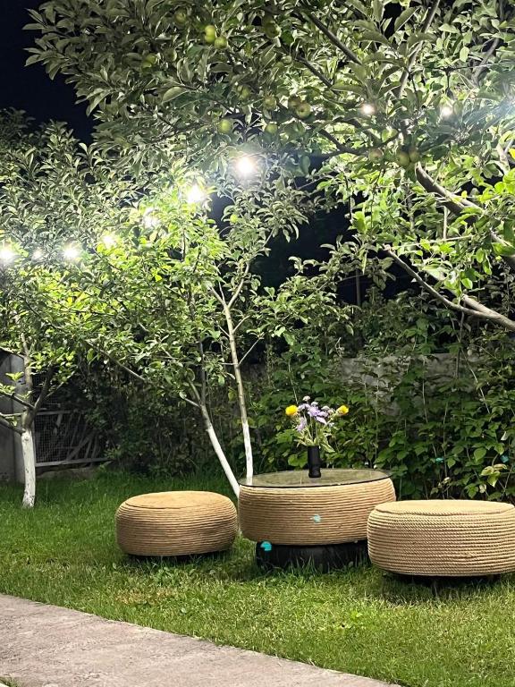 Zahrada ubytování Andranik B&B