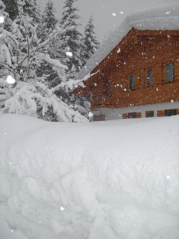 Ferienwohnung am Römerweg Wald v zimě