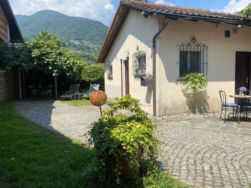 Gambar di galeri bagi mini Haus mit Pergola -NL-00000196 di Tenero