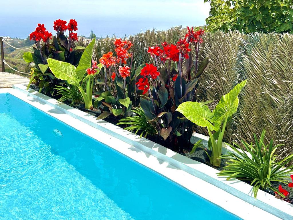 Πισίνα στο ή κοντά στο Villa Ocean Breeze