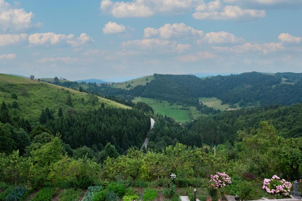 Příroda nedaleko hotelu