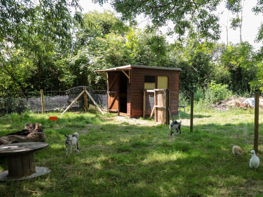 Zahrada ubytování The Foxes Den Shepherds Hut