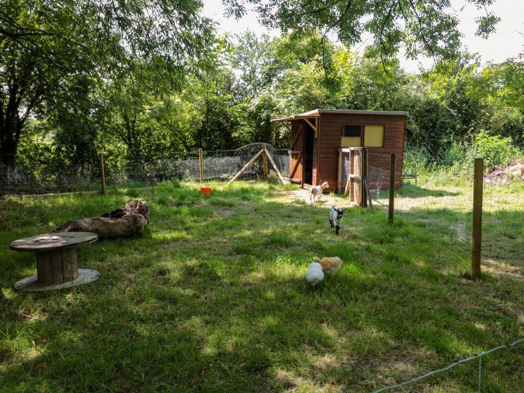 Zahrada ubytování The Foxes Den Shepherds Hut