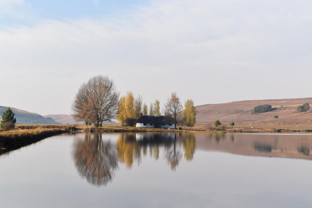 een weerspiegeling van een huis aan een meer bij Dieu Donne Cottage in Underberg