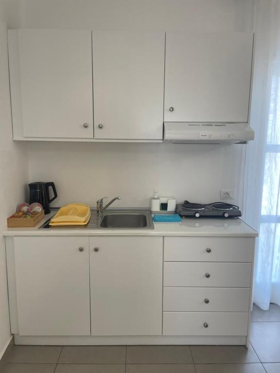 Кухня или мини-кухня в Deda Apartments
