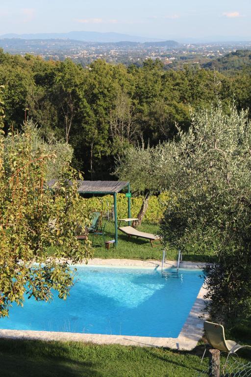 a large blue swimming pool with a gazebo at Azienda Agricola Fabbrica Di San Martino in Lucca