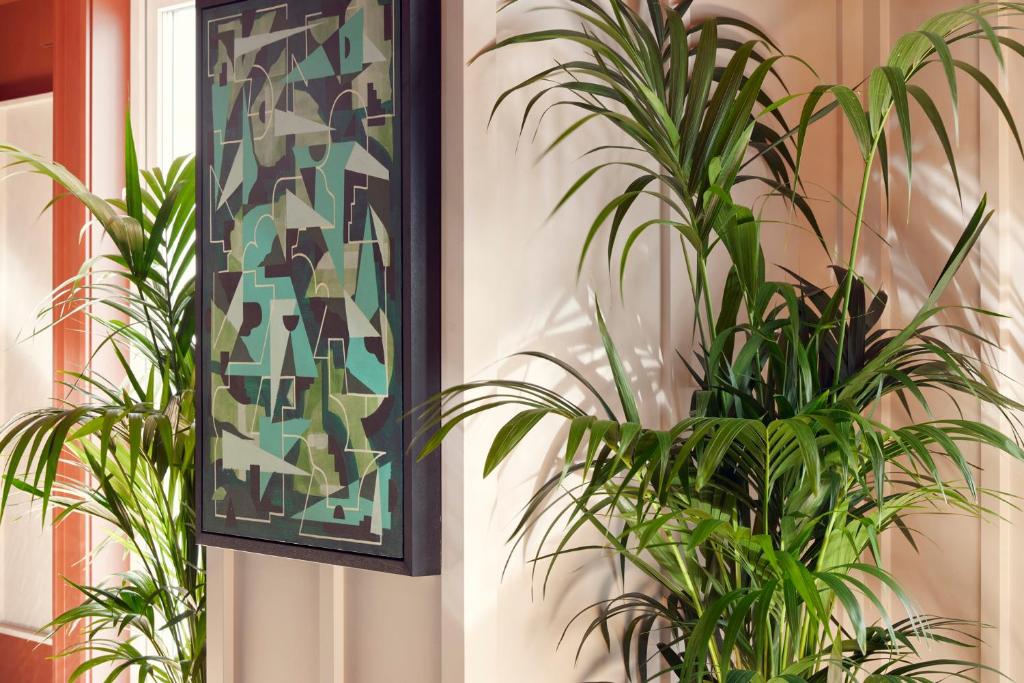 Schwan Locke - Resim 32