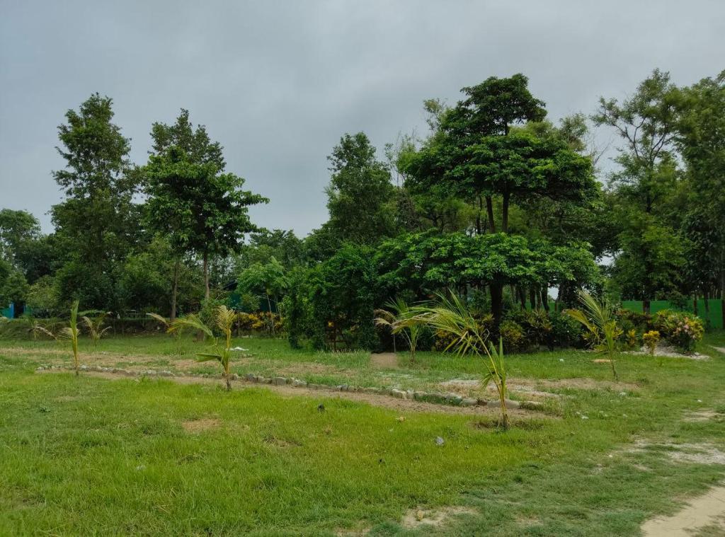 a field with trees and grass and a dirt road at Sudarshan Resort in Haraincha