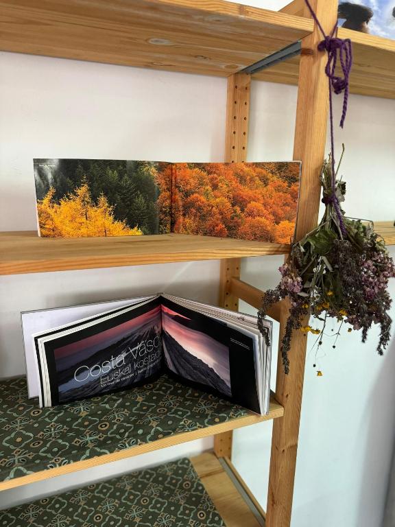 Fotografie z fotogalerie ubytování ALBERGUE DE LASTUR v destinaci Deba