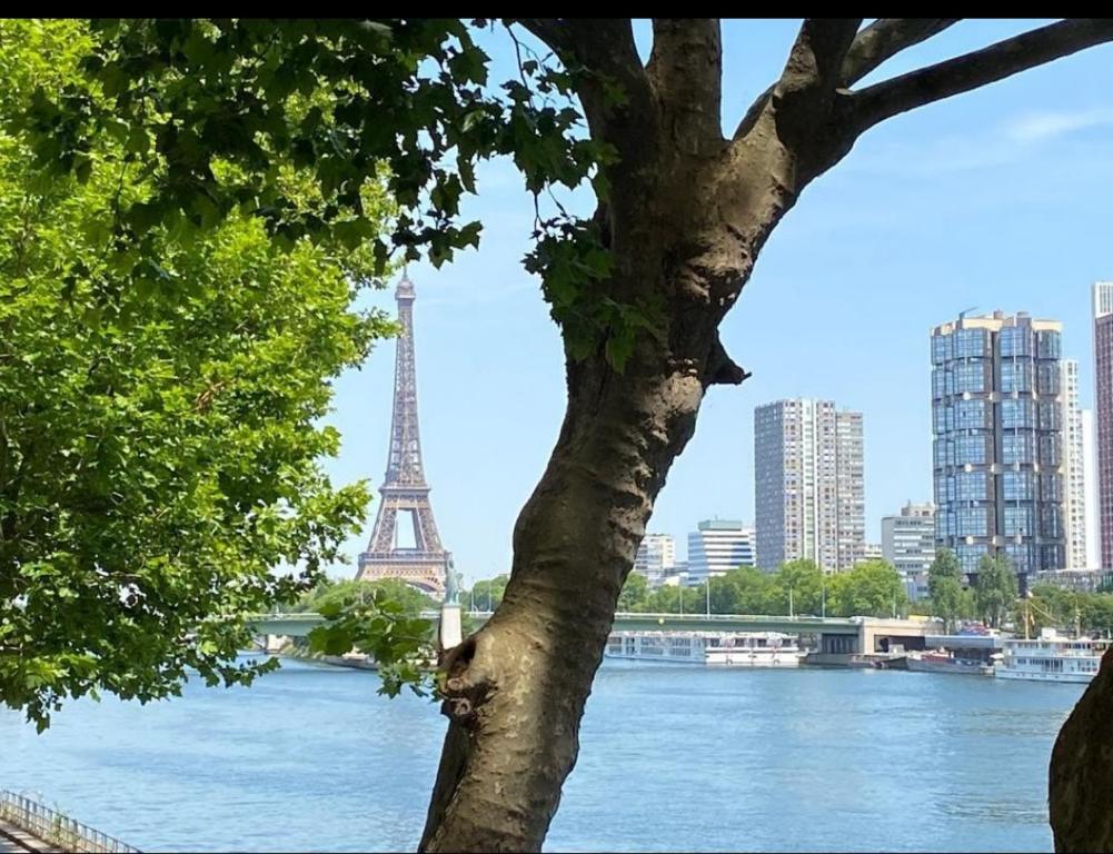 un arbre avec vue sur la tour Eiffel dans l'établissement Paris Tour Eiffel Mirabeau, à Paris