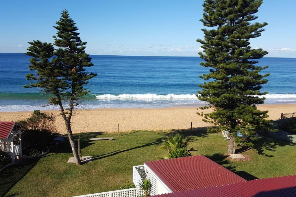 Dos árboles frente a una playa con el océano. en Direct Beachfront Sunrise Apartment - The Coachhouse, en Narrabeen