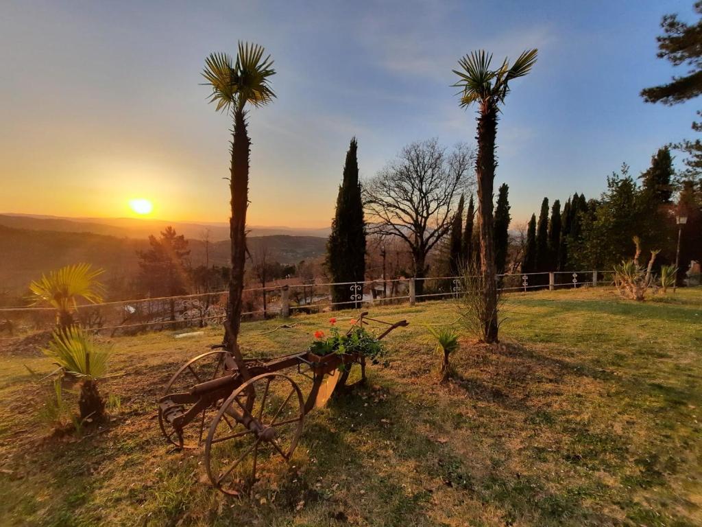 a bike parked in a field with palm trees at Villa el Pavo Real Arezzo in Arezzo