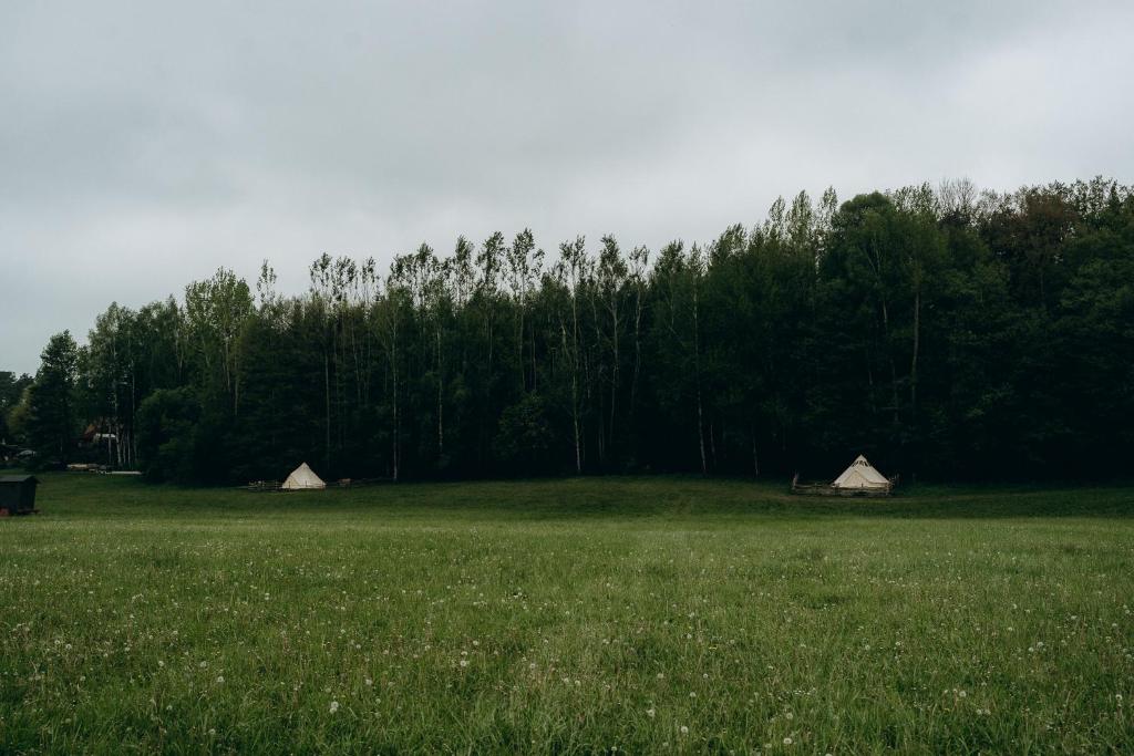 Příroda nedaleko luxury tent