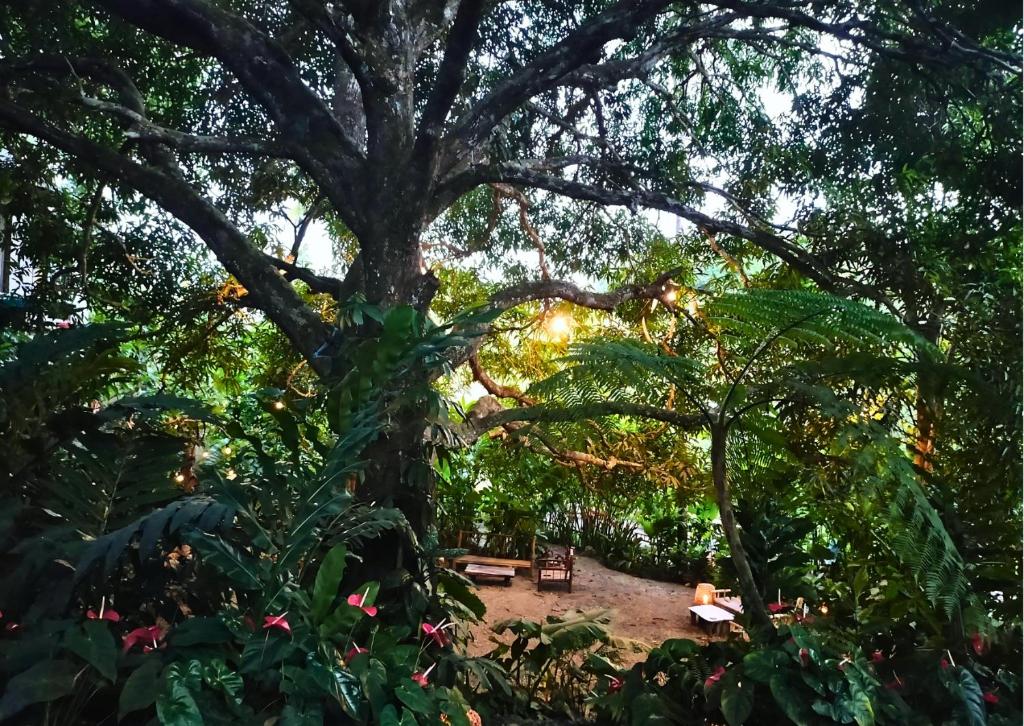Zahrada ubytování Canjahawon Nipa Hut Homestay