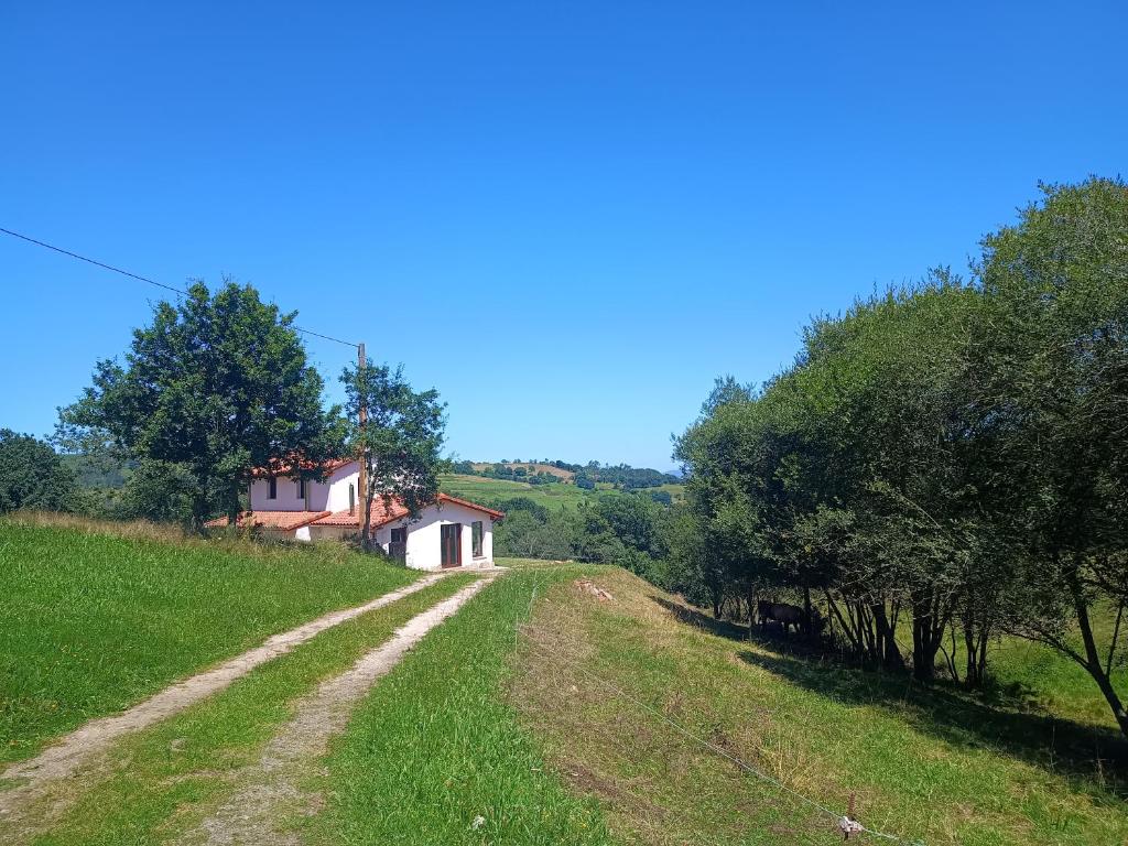 Příroda nedaleko venkovského domu