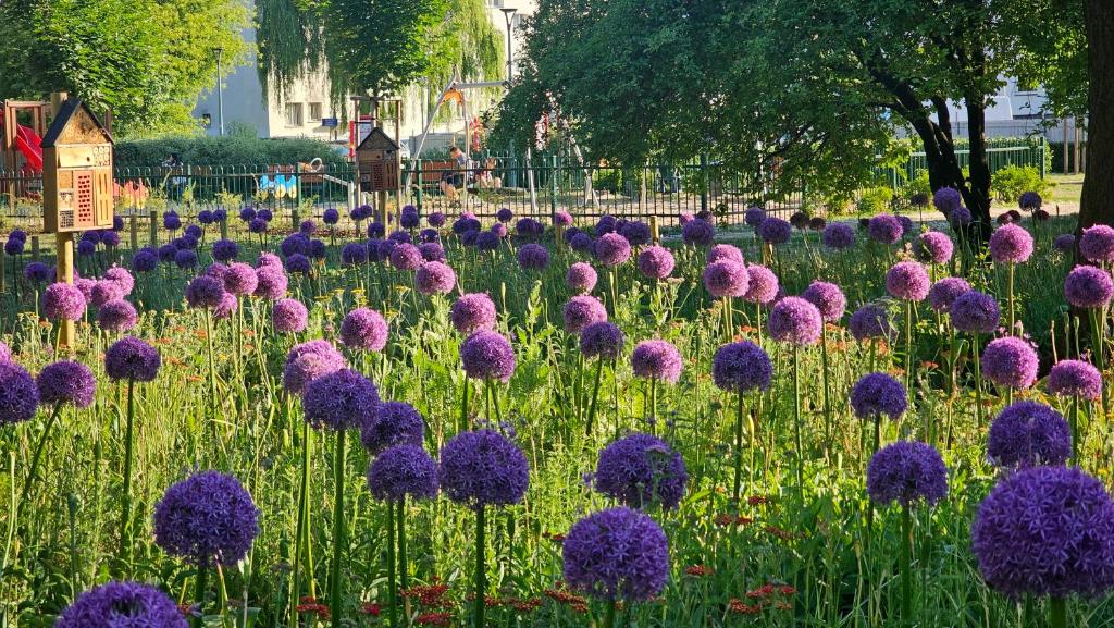 Vonkajšia záhrada v ubytovaní Studio 5 min do Centrum Koneser, blisko dworzec Wschodni by VisitWarsaw