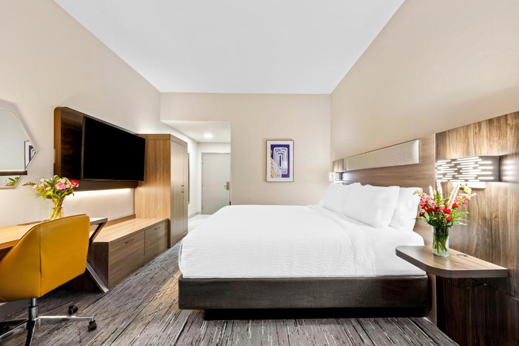 Holiday Inn Express & Suites Sylva / Dillsboro, an IHG Hotel - Room King Estándar