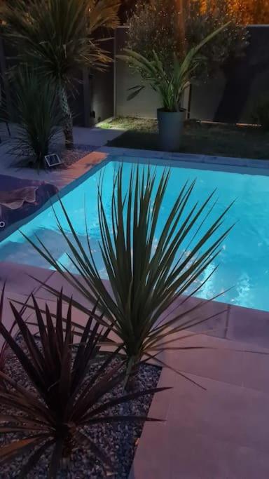 une piscine avec deux palmiers devant dans l'établissement tranquillité et bien être, à Chauconin