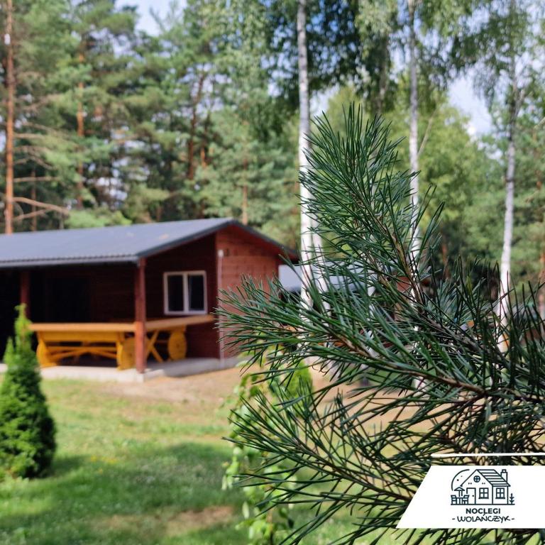 Vonkajšia záhrada v ubytovaní Domki Wrzosowe Wzgórza Nr1