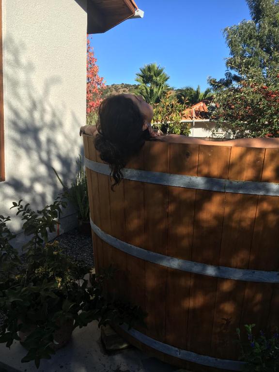 a cat laying on top of a wooden fence at Hotel Boutique Solaz Bella Vista de Colchagua in Santa Cruz