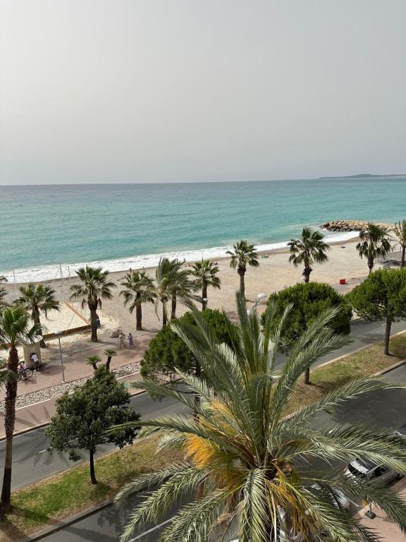 une vue sur une plage avec des palmiers et l'océan dans l'établissement Splendide vue panoramique sur la Méditerranée, à Cagnes-sur-Mer