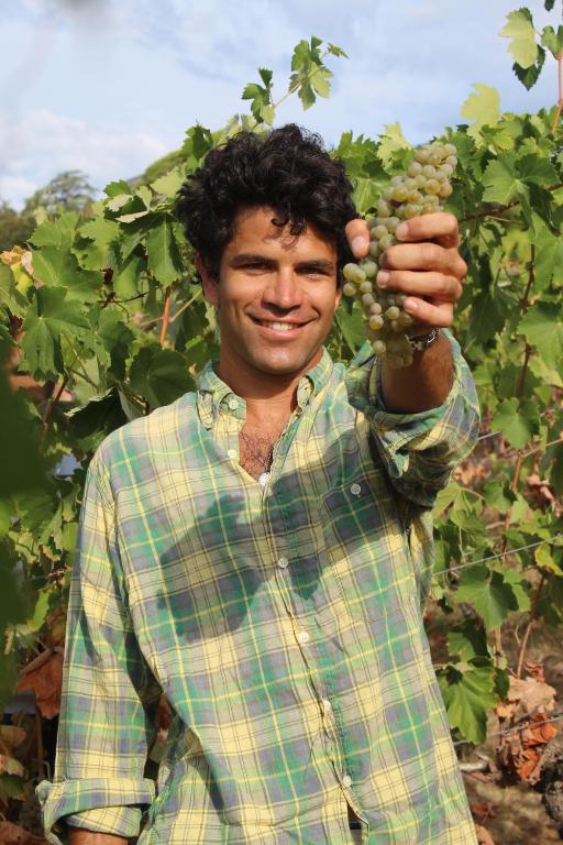 a man holding up a bunch of grapes at Azienda Agricola Fabbrica Di San Martino in Lucca