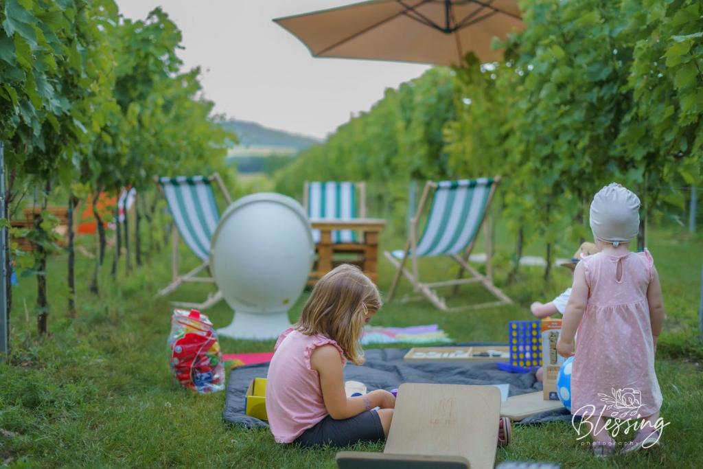 Vass Villa Vendégház és Pincészet Felsőörs vendégei