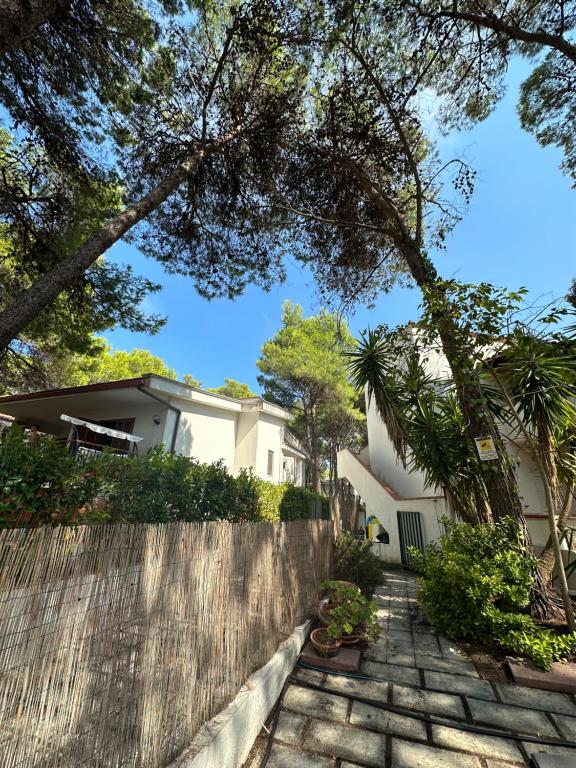 Zahrada ubytování La Conchiglia