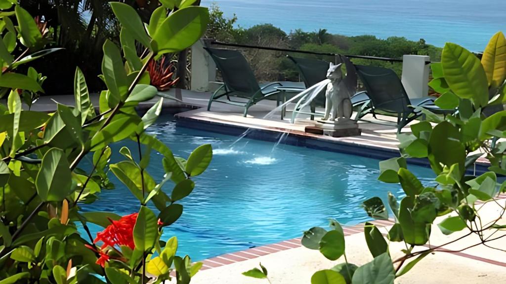 Bazén v ubytování Hacienda Tamarindo nebo v jeho okolí