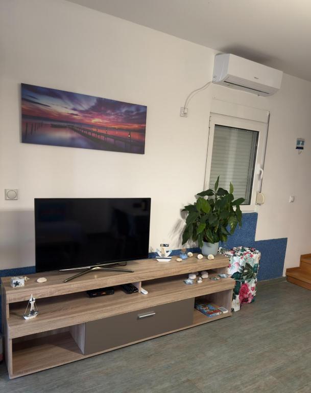 TV a/nebo společenská místnost v ubytování Vila Vujošević