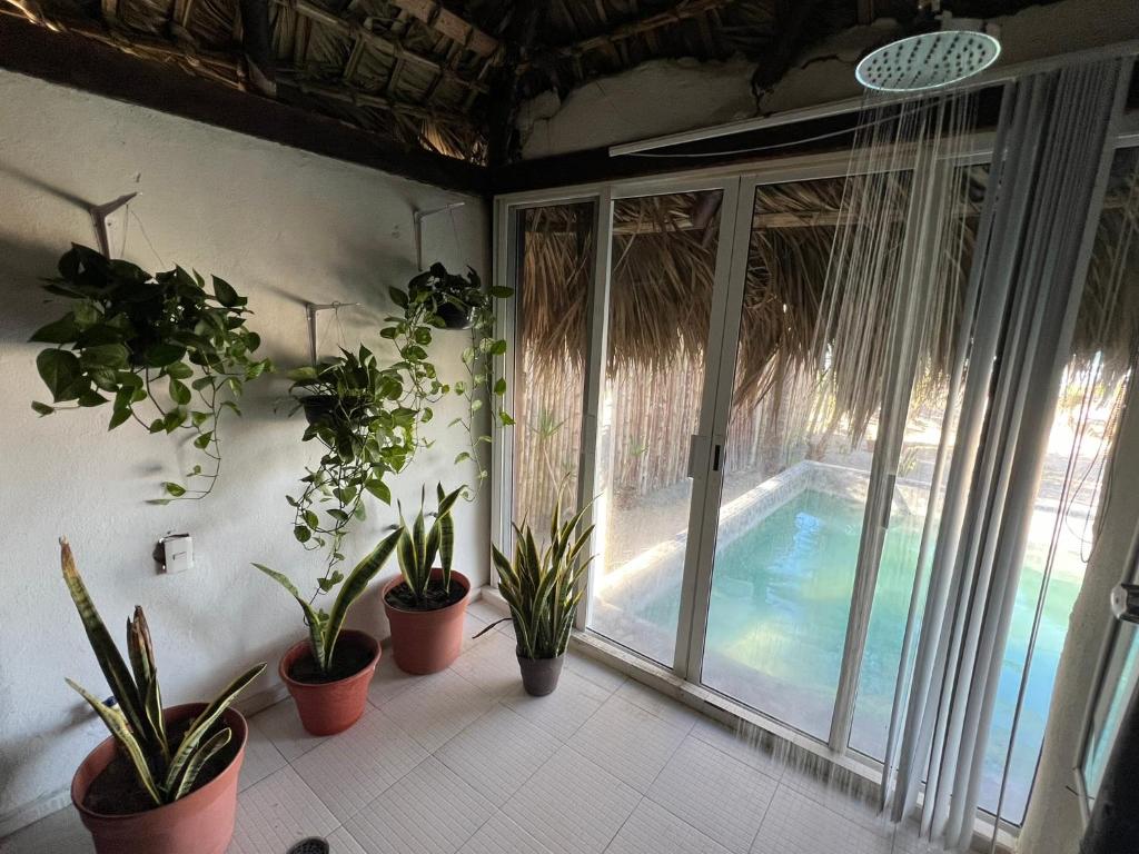 Bazén v ubytování EcoPalapa Mimí nebo v jeho okolí