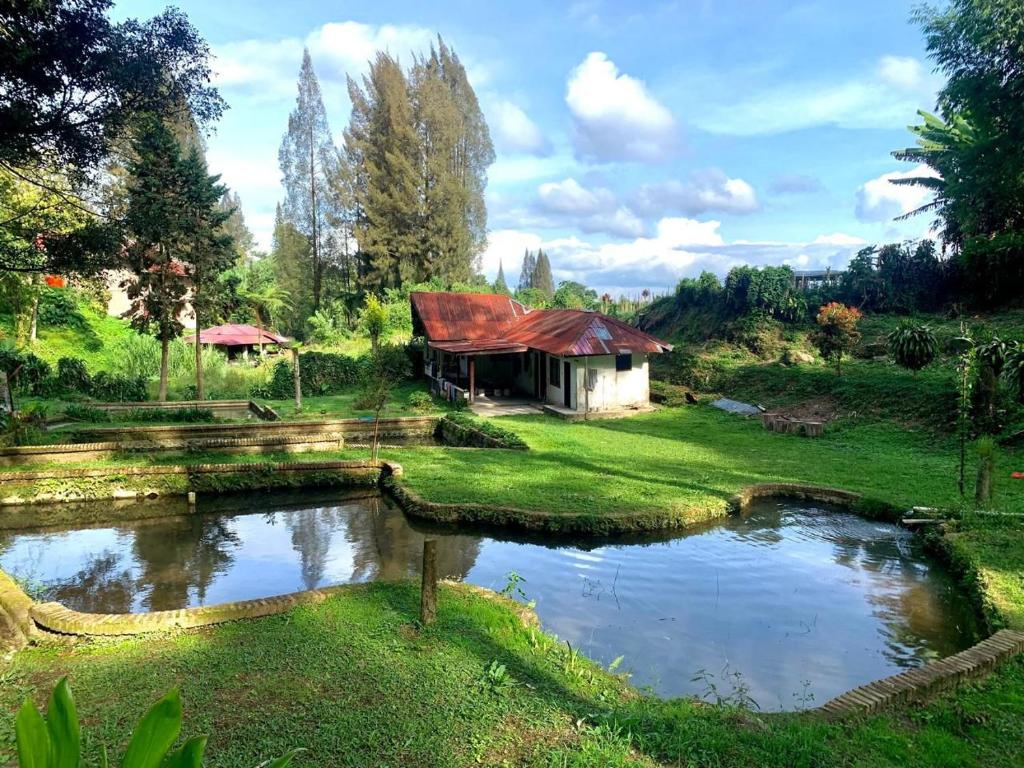 a house in the middle of a field with a pond at Sibayak Multinational Rest House in Berastagi