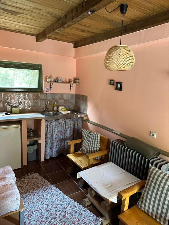 Kuchyň nebo kuchyňský kout v ubytování Guest house Pikec