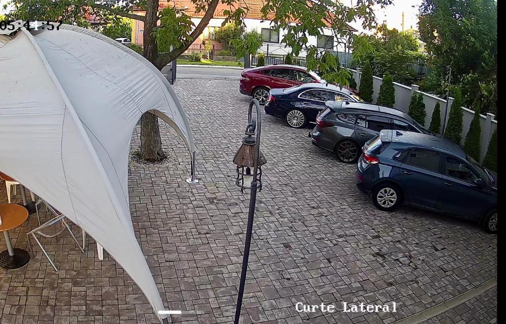 selbstaufbauendes zelt test STAHLWERK Campingzelt Z-210 ST 210 x 160 cm Pop-Up-Zelt | Wurfzelt | Igluzelt | Faltzelt | Kuppelzelt | Trekkingzelt Nager Taille:90 cm Lässig Sleeping Jumper Spots