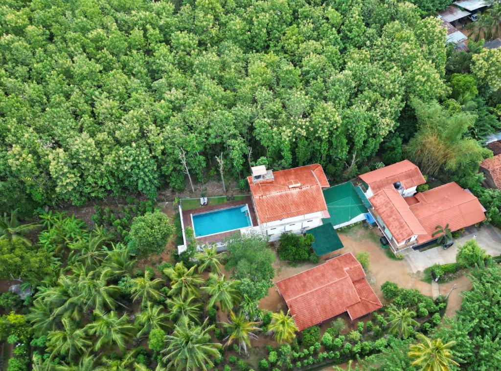 Bazén v ubytování Nature House nebo v jeho okolí