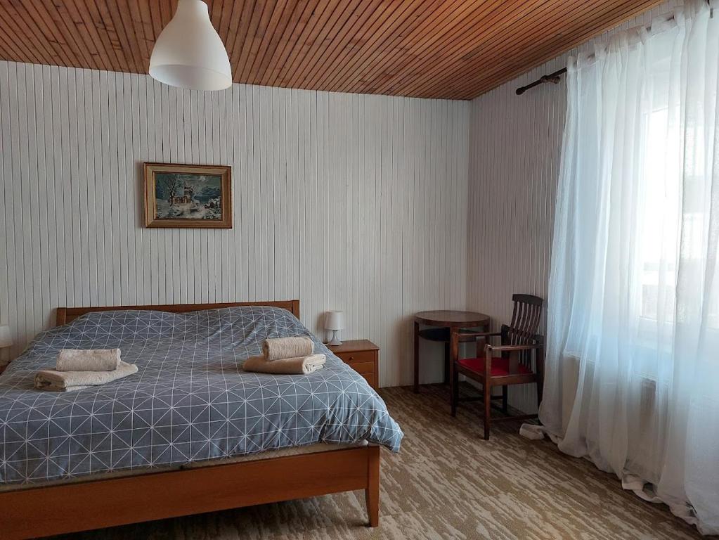 Postel nebo postele na pokoji v ubytování Domačija pri Ivankovih