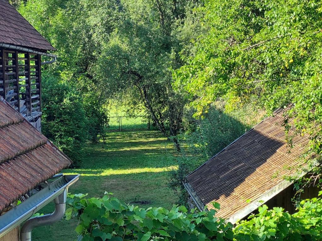 Zahrada ubytování Domačija pri Ivankovih
