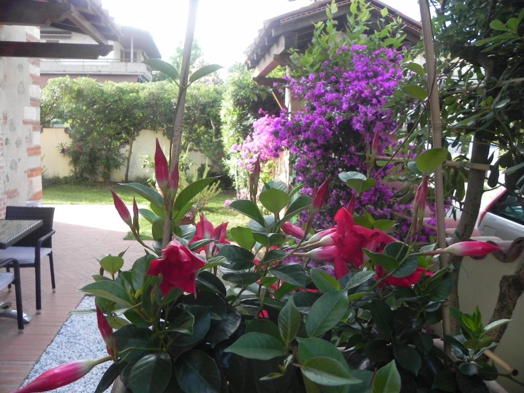 A garden outside Villa Il Fortino