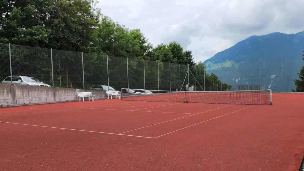 Tenis a/nebo squash v ubytování SoloHike MountainView nebo okolí