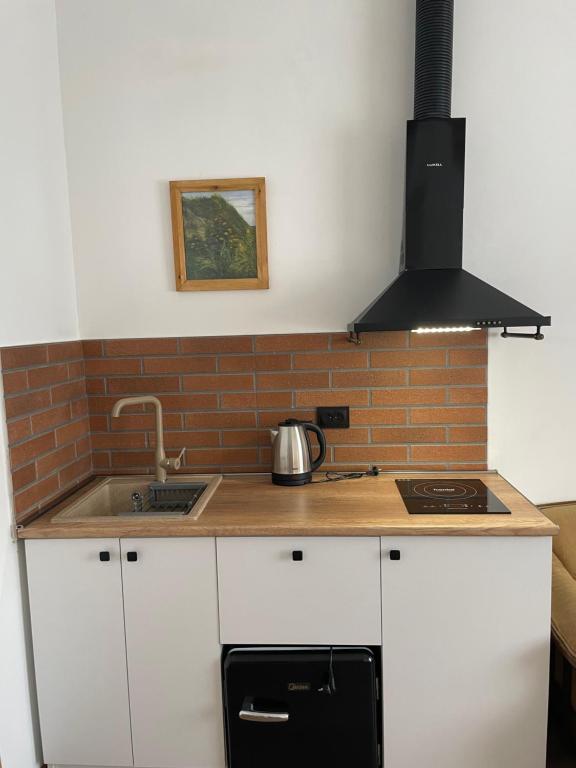 Kuchyň nebo kuchyňský kout v ubytování Friendly Home