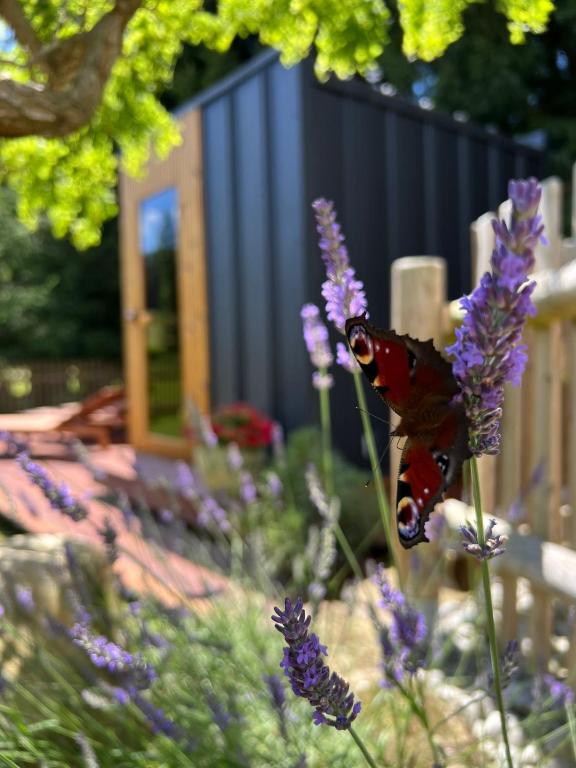 Puutarhaa majoituspaikan Tiny House Všemily ulkopuolella